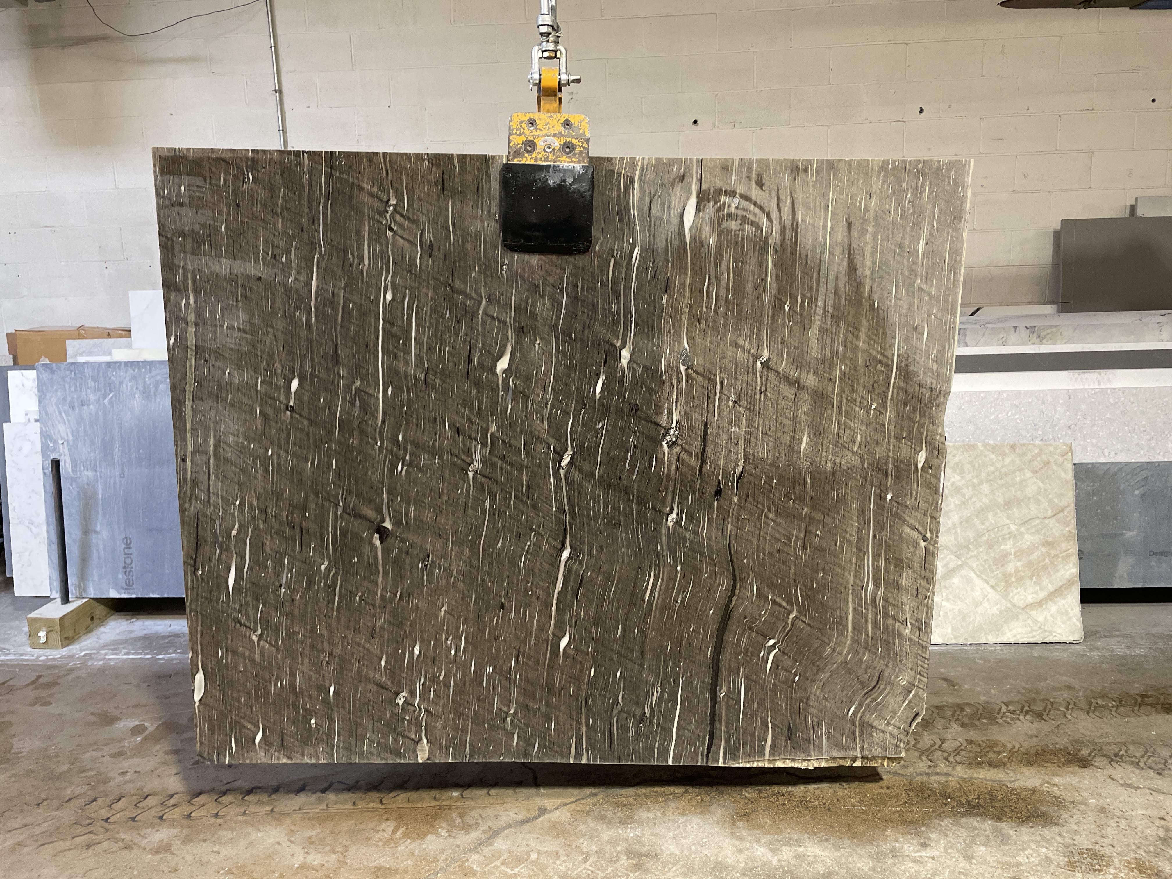 Cignus (Quartzite)