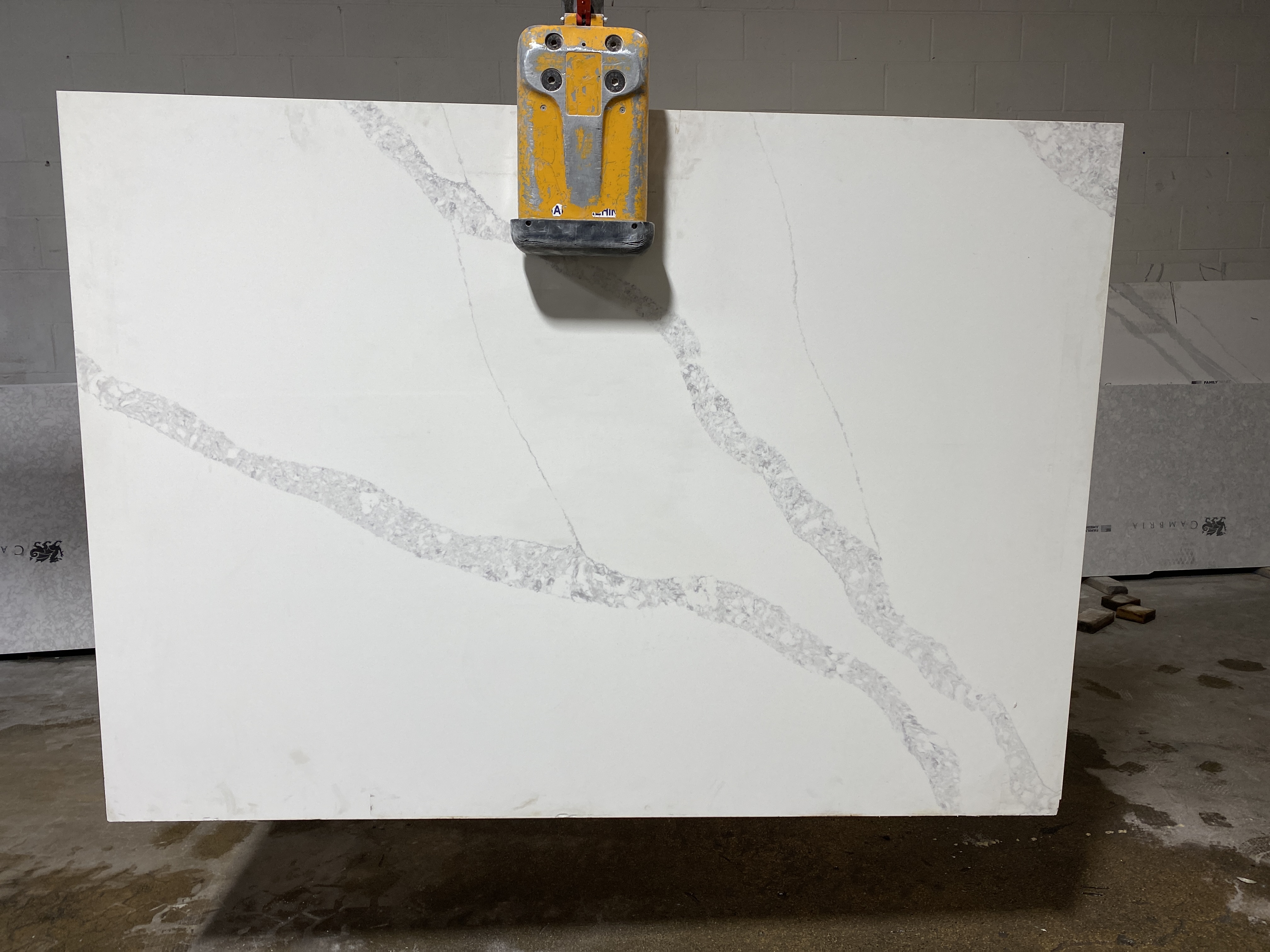 Calacatta venice ( MSI Quartz)